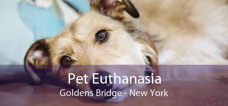 Pet Euthanasia Goldens Bridge - New York