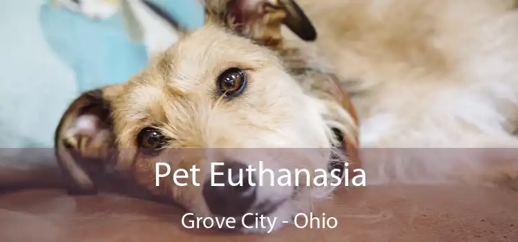 Pet Euthanasia Grove City - Ohio