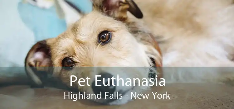 Pet Euthanasia Highland Falls - New York