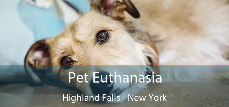 Pet Euthanasia Highland Falls - New York