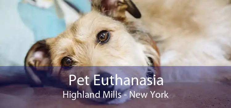 Pet Euthanasia Highland Mills - New York