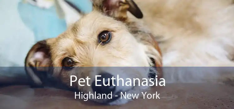 Pet Euthanasia Highland - New York