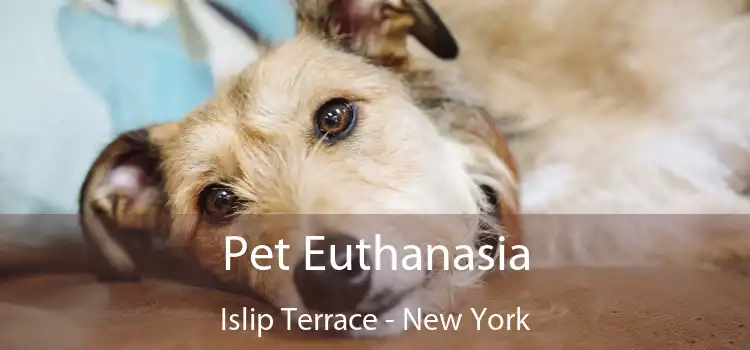 Pet Euthanasia Islip Terrace - New York