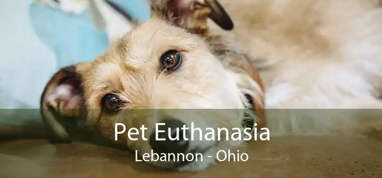 Pet Euthanasia Lebannon - Ohio