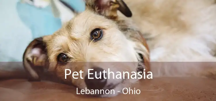 Pet Euthanasia Lebannon - Ohio