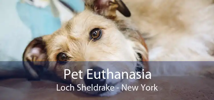 Pet Euthanasia Loch Sheldrake - New York