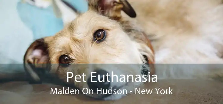 Pet Euthanasia Malden On Hudson - New York