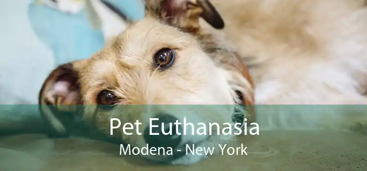 Pet Euthanasia Modena - New York
