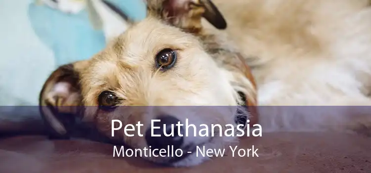 Pet Euthanasia Monticello - New York