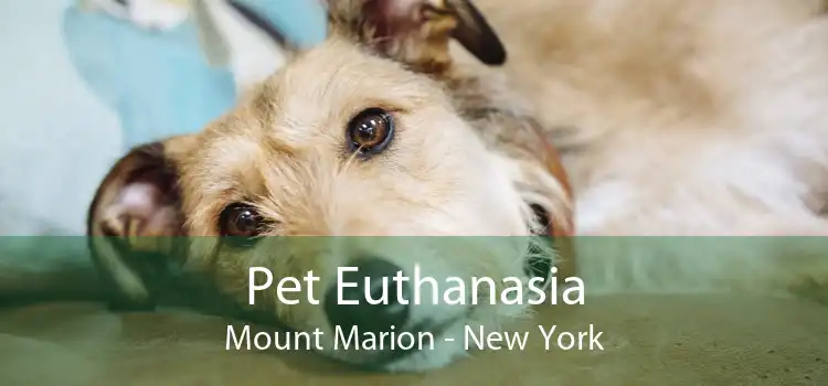 Pet Euthanasia Mount Marion - New York