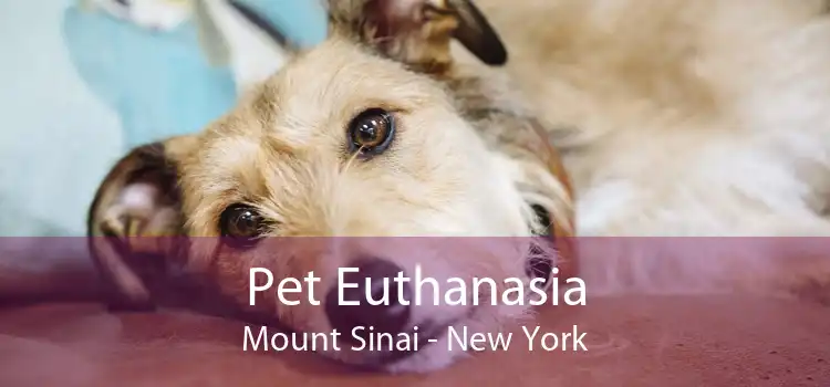 Pet Euthanasia Mount Sinai - New York
