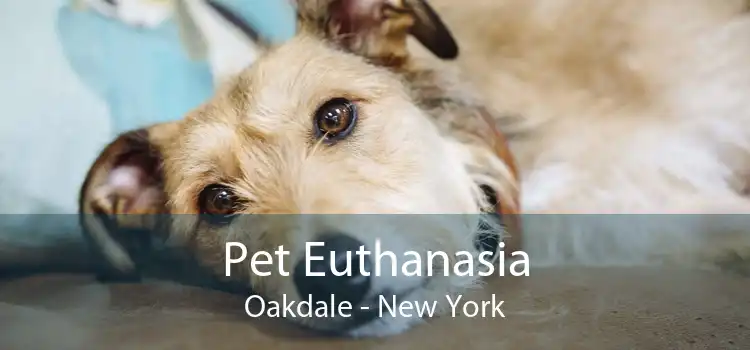 Pet Euthanasia Oakdale - New York