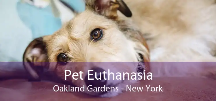 Pet Euthanasia Oakland Gardens - New York