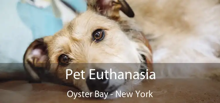 Pet Euthanasia Oyster Bay - New York