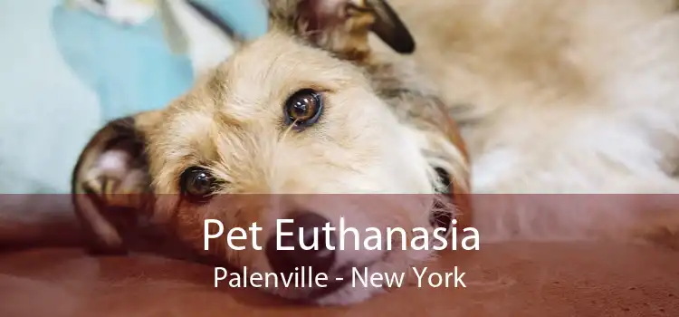 Pet Euthanasia Palenville - New York