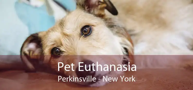 Pet Euthanasia Perkinsville - New York
