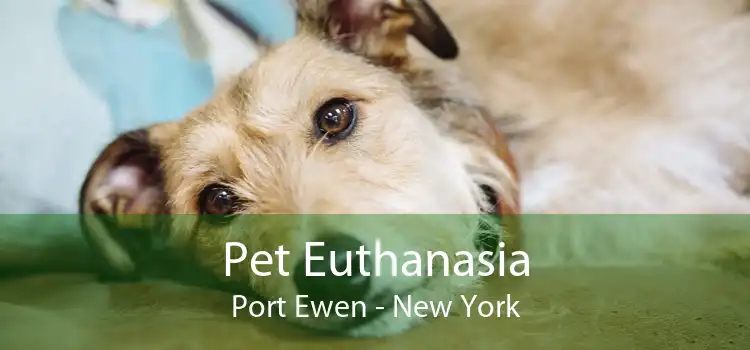 Pet Euthanasia Port Ewen - New York