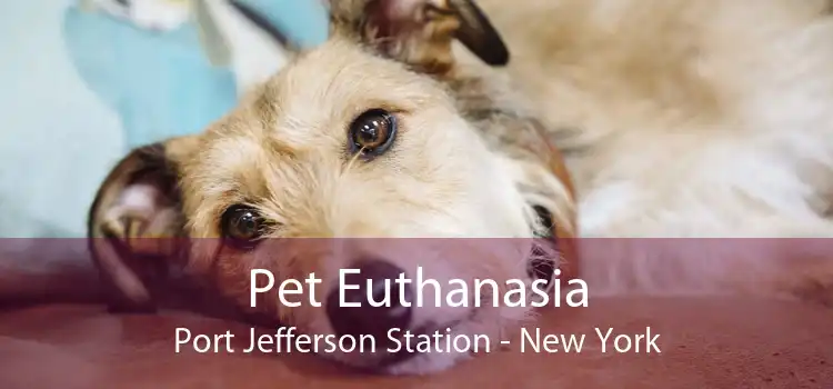 Pet Euthanasia Port Jefferson Station - New York