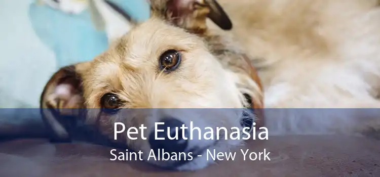 Pet Euthanasia Saint Albans - New York