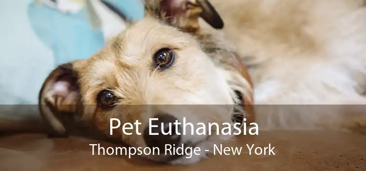 Pet Euthanasia Thompson Ridge - New York