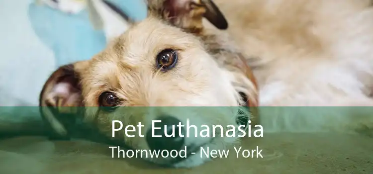 Pet Euthanasia Thornwood - New York