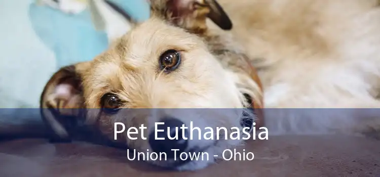 Pet Euthanasia Union Town - Ohio
