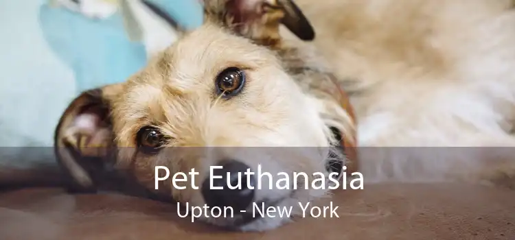 Pet Euthanasia Upton - New York