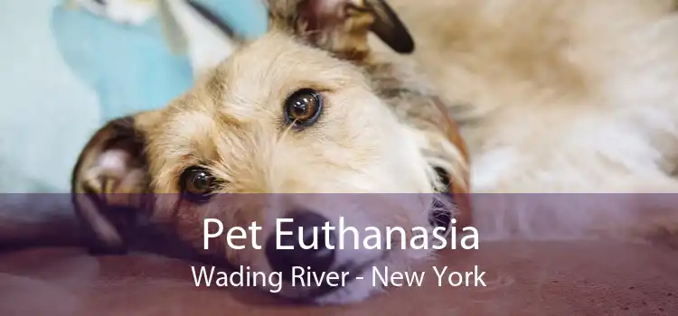 Pet Euthanasia Wading River - New York