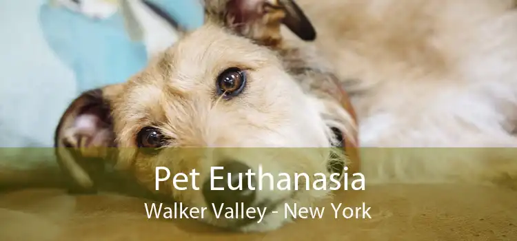 Pet Euthanasia Walker Valley - New York