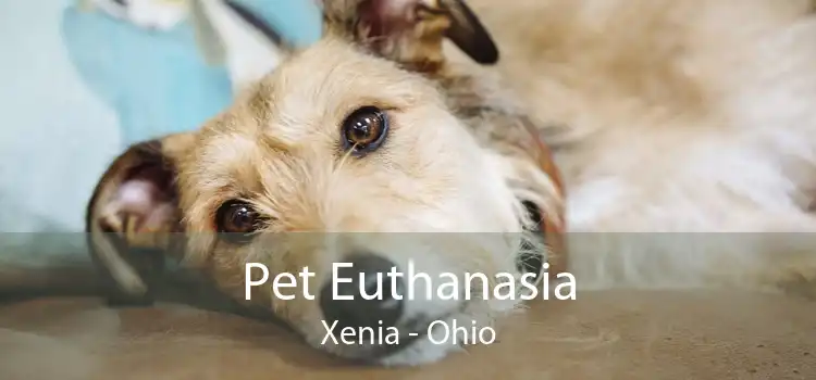 Pet Euthanasia Xenia - Ohio