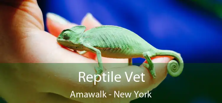 Reptile Vet Amawalk - New York