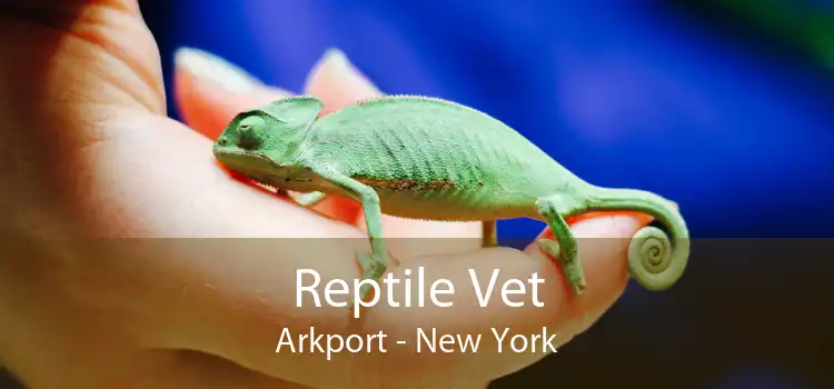 Reptile Vet Arkport - New York