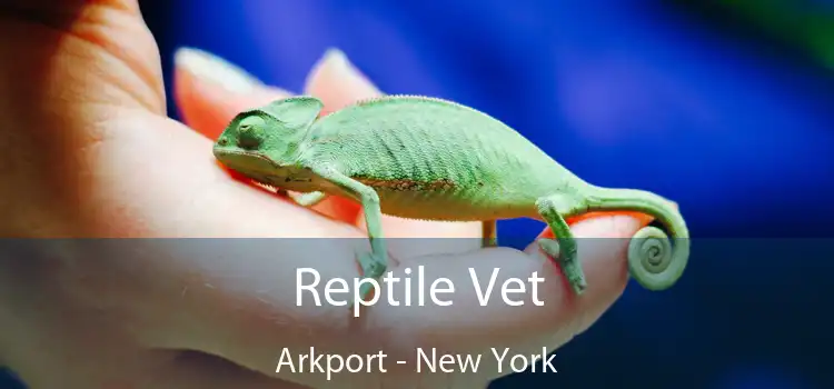 Reptile Vet Arkport - New York