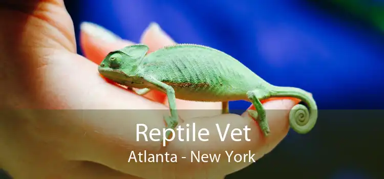 Reptile Vet Atlanta - New York