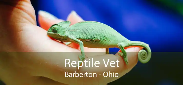 Reptile Vet Barberton - Ohio