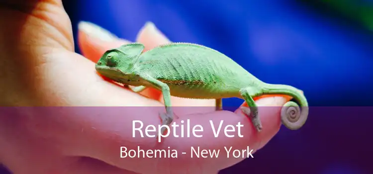 Reptile Vet Bohemia - New York