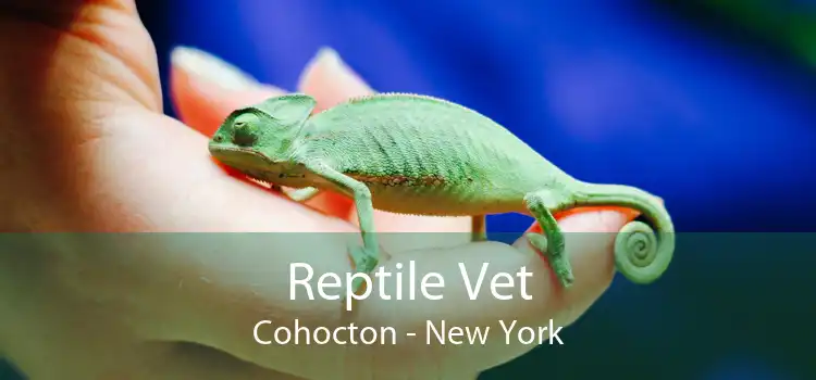 Reptile Vet Cohocton - New York