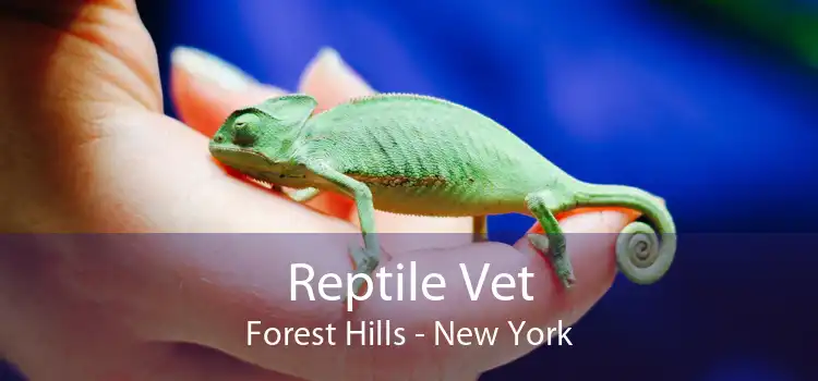 Reptile Vet Forest Hills - New York