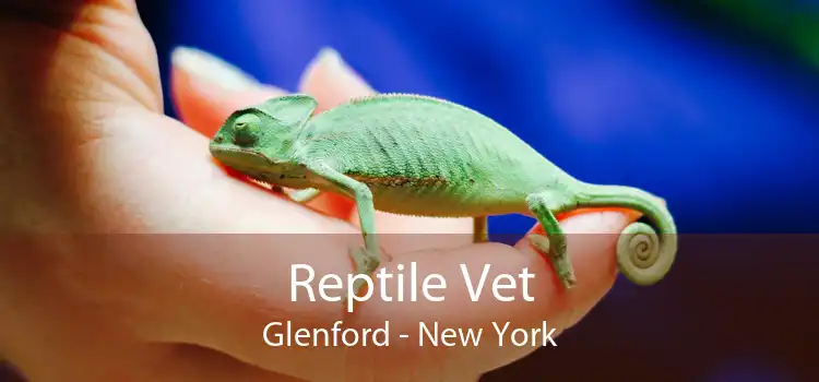 Reptile Vet Glenford - New York