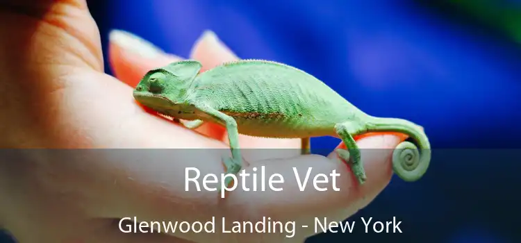 Reptile Vet Glenwood Landing - New York