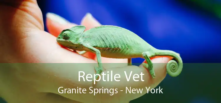 Reptile Vet Granite Springs - New York