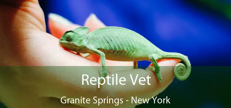 Reptile Vet Granite Springs - New York