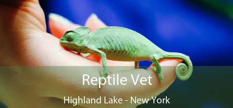 Reptile Vet Highland Lake - New York