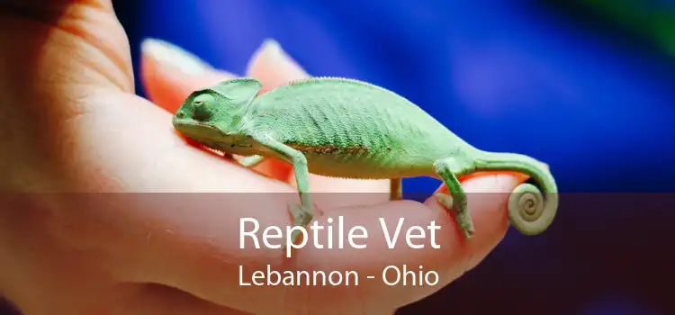 Reptile Vet Lebannon - Ohio