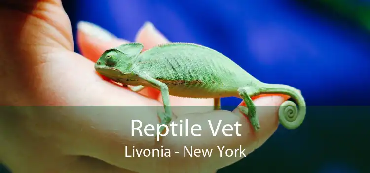 Reptile Vet Livonia - New York