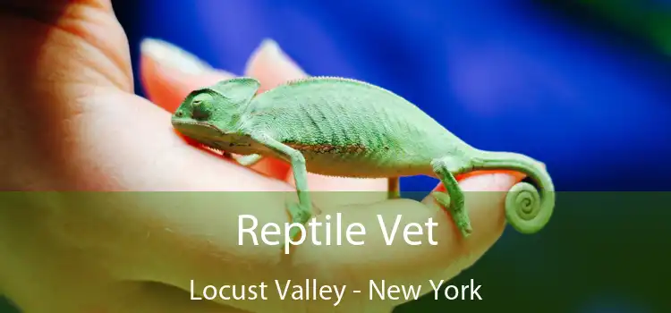 Reptile Vet Locust Valley - New York