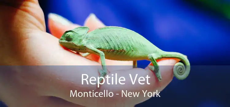 Reptile Vet Monticello - New York