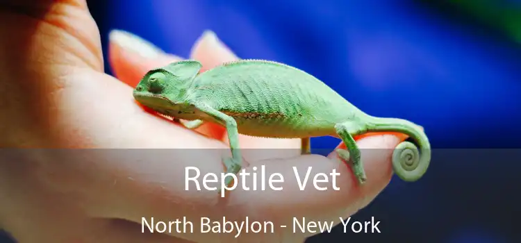 Reptile Vet North Babylon - New York