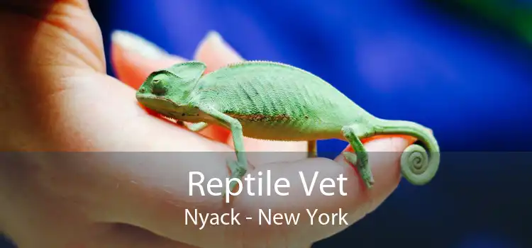 Reptile Vet Nyack - New York