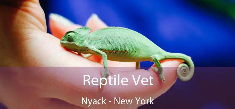 Reptile Vet Nyack - New York